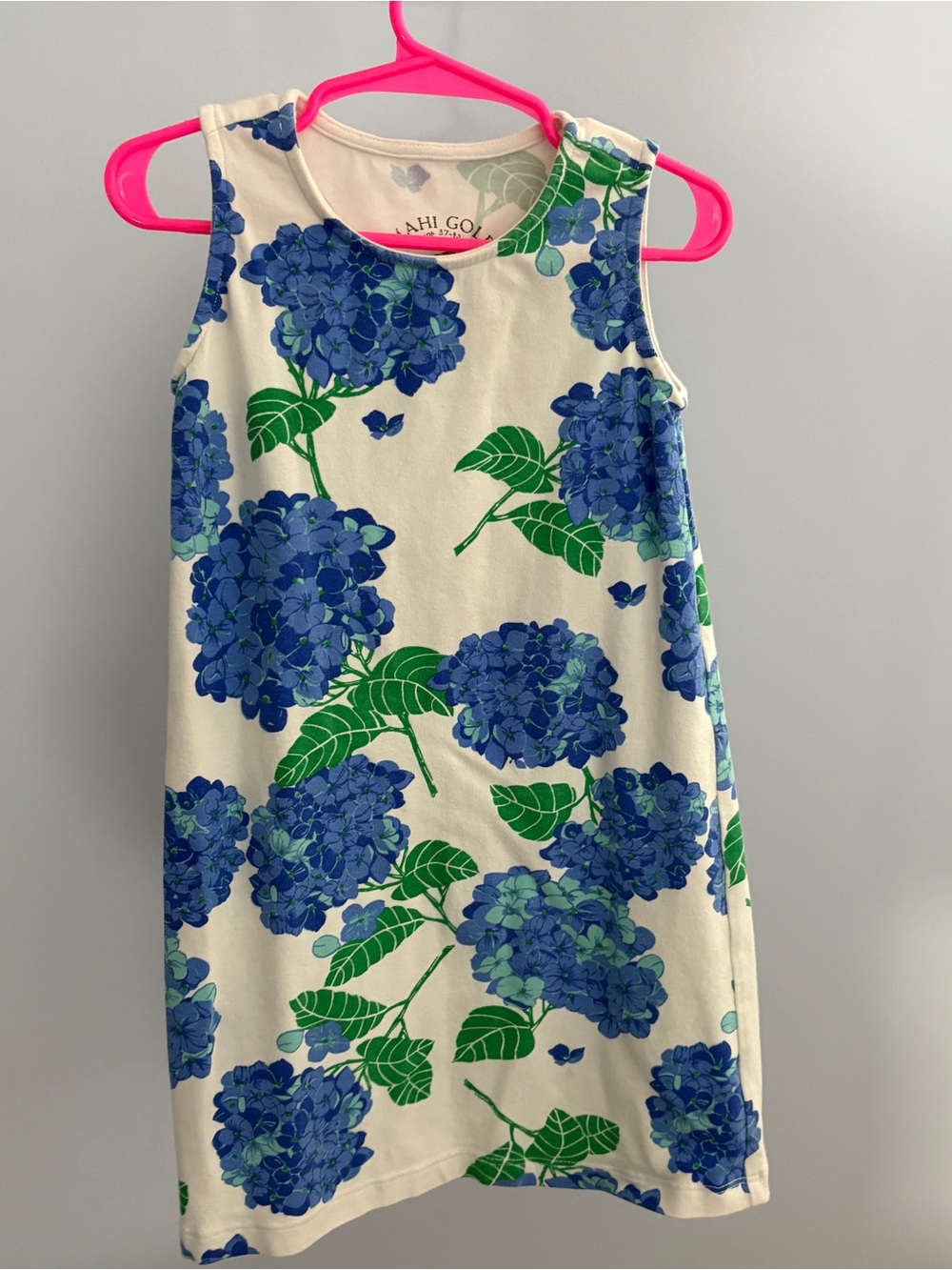 MAHI GOLD Cream Dress with Blue Floral Print